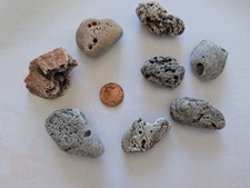 8 Medium Natural Hag Stones