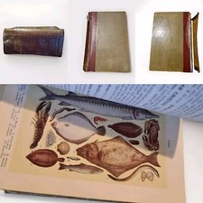 1920 mrs beeton - c.1920,