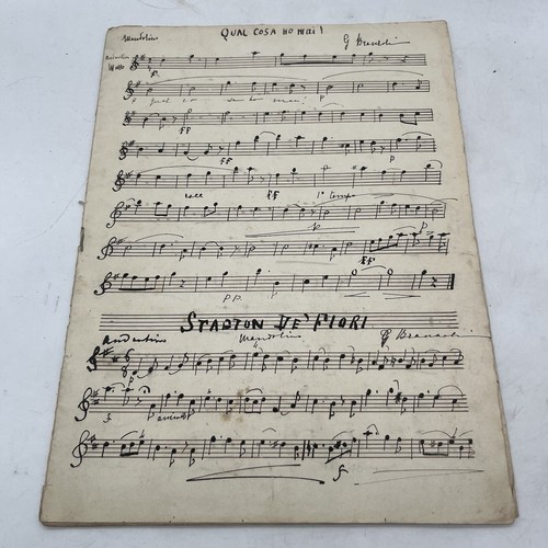 Handwritten antique mandolin - handwritten,