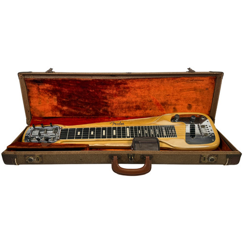 Fender champ string - champ, 6