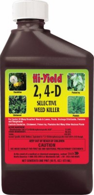 Yield d selective - 2,4-d, weed