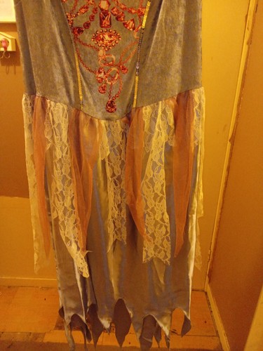 Adult halloween dress - adult,
