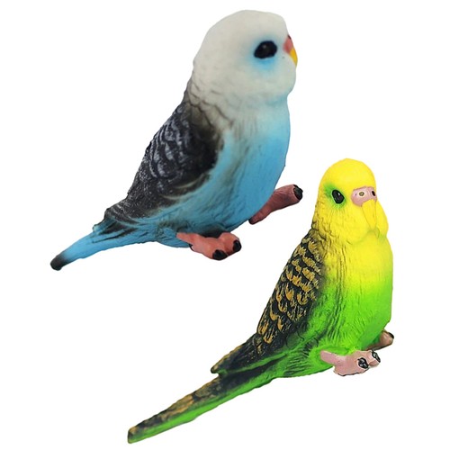 Pcs realistic budgie - 2,