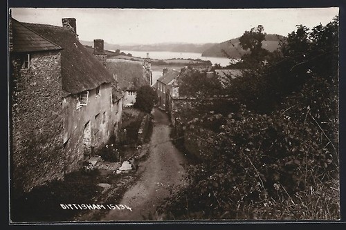 Dittisham street view - dittisham,,