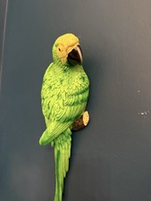 Unique Green Parrot