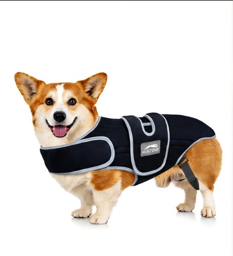 Dog back brace - brace, support
