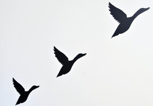 Retro flying duck vinyl - flying, wall