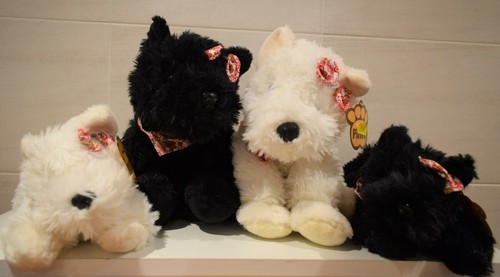 Paws soft toy westie - toy, west