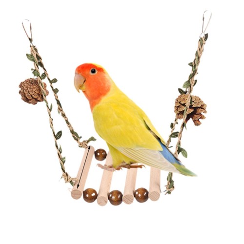 Bird ladder bridge - bridge, pet