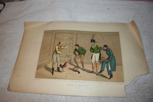 Cock fighting plate - plate, 2