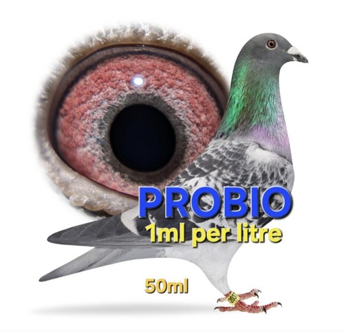Probiotic for racing pigeons - for,