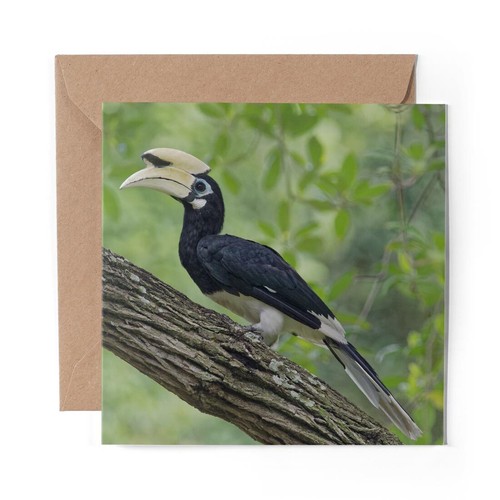 Blank greeting card - 1,