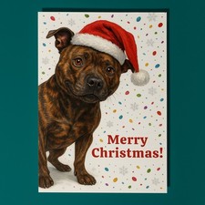 Staffordshire Bull Terrier Dog