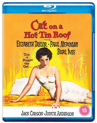 Cat hot tin - cat, roof