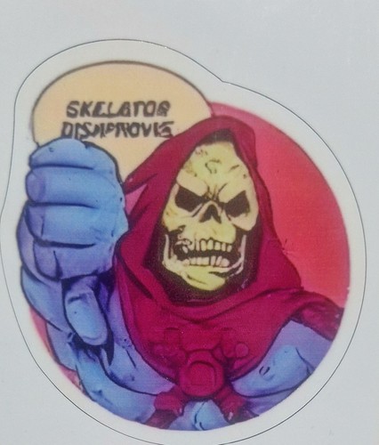 Skeletor disapproves man - skeletor, he