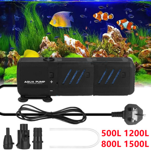 Aquarium fish tank - in,