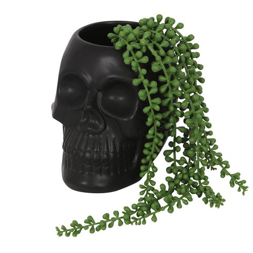 Black skull plant pot - plant,