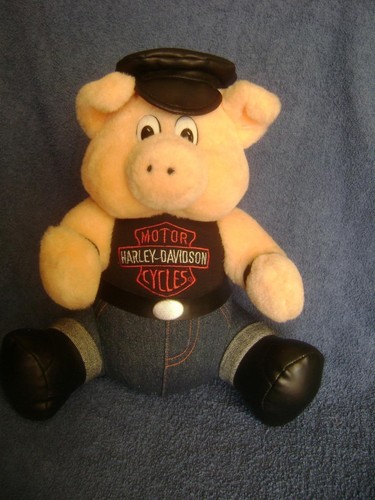 Motor harley davidson cycles - motor,