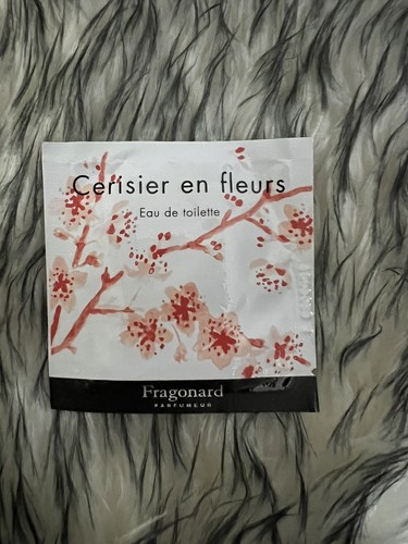 Fragonard cerisier fleurs - cerisier, en