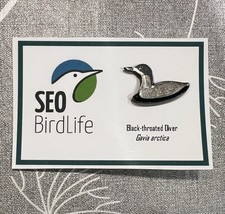 Black-throated Diver - SEO