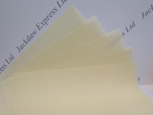 Vellum parchment natural pale - parchment,