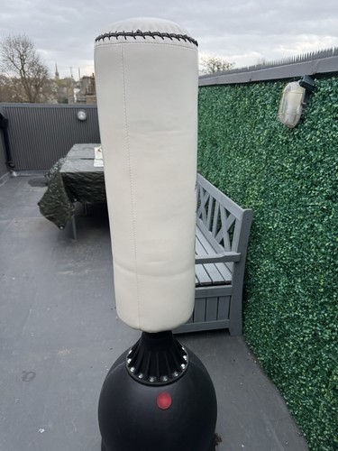Gallant 5ft free - gallant, 5.5ft