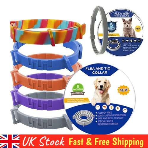 Month protection pet flea - pet,