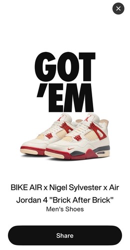 Nigel sylvester air jordan 4 - sylvester,