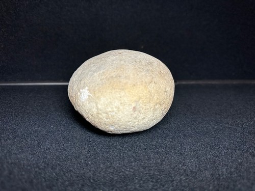 Heavy fossil petrified egg - heavy,