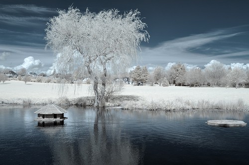 Nikon d90 infrared - d90,