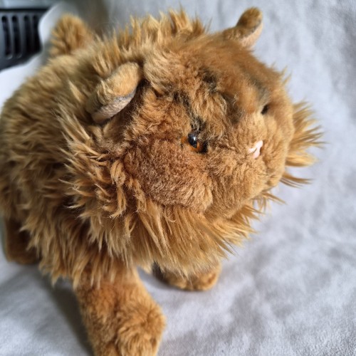 Harry potter hermione cat - harry,