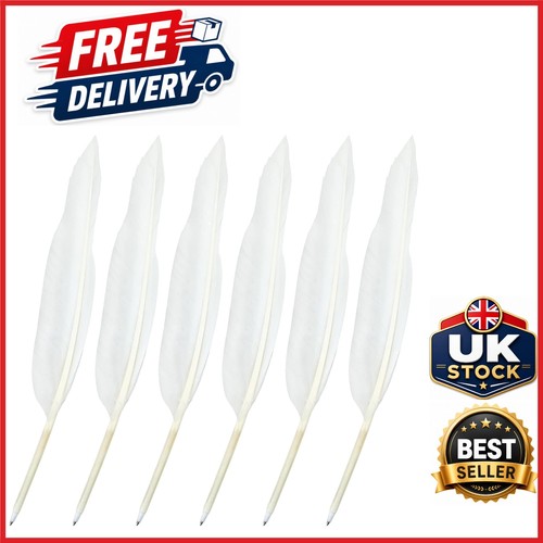 White goose feather quill - goose,