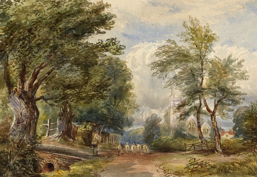 Sheep herding village - sheep,