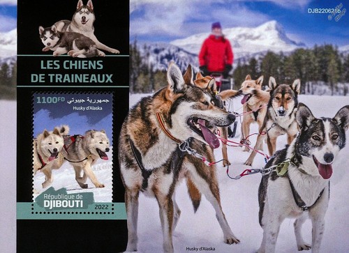 Sled dogs alaskan - sled,