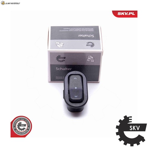 Switch window regulator - window,
