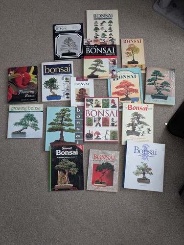 Massive collection used - massive,