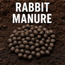 Bunny Gold – 100% Organic
