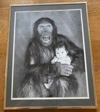 Lord Snowdon Photo – Antony Armstrong-Jones Orangutan & Baby – Framed Print