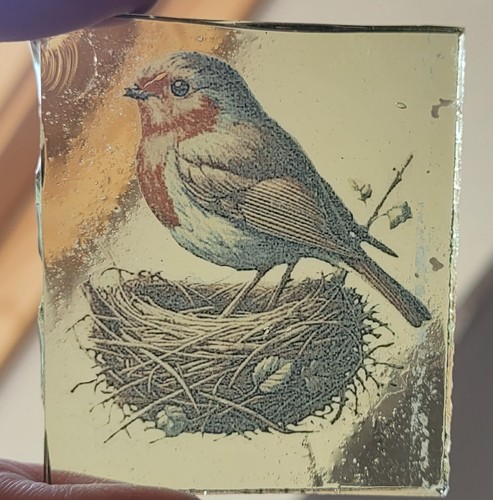 Stained glass robin bird - glass,