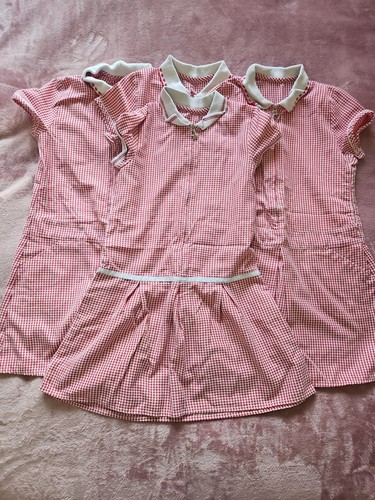 Girls red gingham - girls,