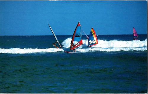 Vintage postcard windsurfing - postcard,
