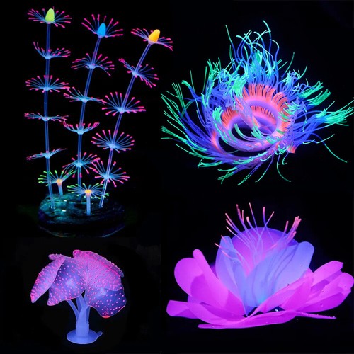 4pcs aquarium ornament - 4pcs,