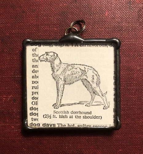 Scottish deerhound dog - scottish,