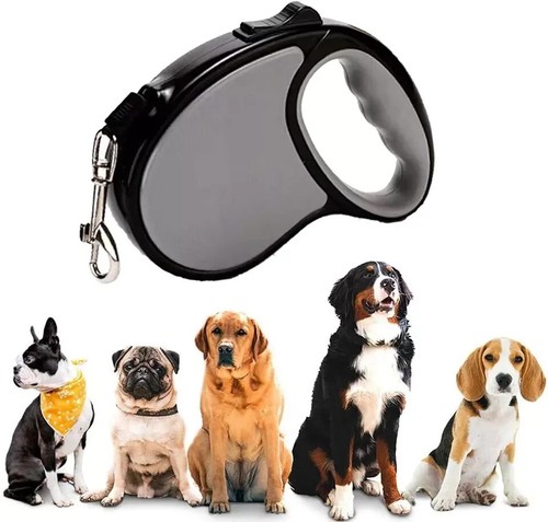 Retractable dog lead training - dog,