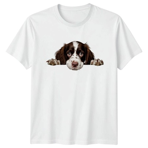 Peeking springer spaniel - peeking,