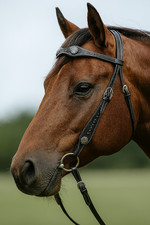 CONCHO WESTERN BRIDLE –