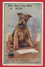 SOMERSET  BATH  TERRIER DOG NOVELTY PULL OUT   pu 1948
