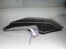 Kawasaki ZX10 B Tomcat