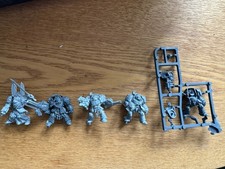 Space Marines Dark Vengeance