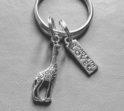 Beautiful little giraffe - little, 'giraffe'